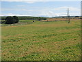 NT6476 : East Lothian fieldscape by M J Richardson
