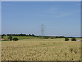 Pylon in field