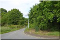 The road to the Priory, with mature trees