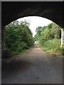 View of the old railway track