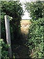 SP9675 : Path near Great Addington by Dave Thompson