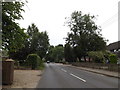 TG2115 : Manor Road, Horsham St.Faith by Geographer