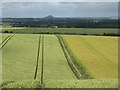 NT6575 : East Lothian farmland by M J Richardson
