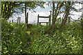 Hidden steps and a stile lead to a footpath at Eel Beck