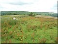 Field near Fivelane-ends