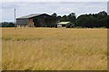 Barn and an oileed rape field