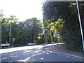 Fernbank Road at the junction of London Road