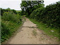 Wales Coast Path from Penallt Farm towards Llansaint