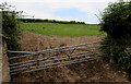 Distorted field gate opposite Penallt Farm west of Kidwelly