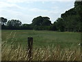 Farmland off Mundford Road (A1065)