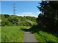 Path in Garscadden Wood