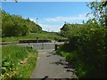 Paths beside Peel Glen Road