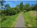 Path in Garscadden Wood