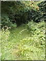 Bridleway - Reap Hirst Road