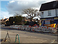 Old oak at the corner of Station Road and Meeting House Lane, Balsall Common