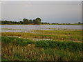 TL5072 : Flooded field by the Great Ouse by Hugh Venables
