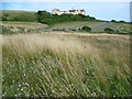 Looking up to Roedean School