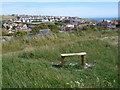 Rottingdean from Beacon Hill