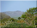 Carn Warpool, St David