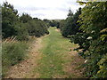 Footpath - Heaton Moor Road