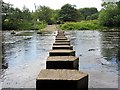 NY9939 : Stepping stones at Stanhope Ford by Andrew Curtis