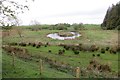 Pond, West Linkhall