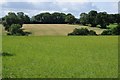 SO6860 : Worcestershire farmland by Philip Halling