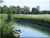TQ3287 : The New River south of Springpark Drive, N4 by Mike Quinn