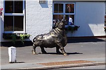 SO8658 : The bull at The Bull Inn (2), 152 Droitwich Road, Fernhill Heath, Worcs by P L Chadwick