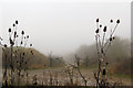 The Track to the Octagon Hide, College Lake, on a foggy day