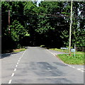 Road north towards Pembroke from Stackpole Cheriton