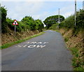 ARAF/SLOW on the road north of Stackpole Cheriton