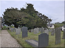 SS5937 : St Peter, Shirwell: churchyard (iii) by Basher Eyre