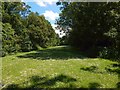 Roman Park: view along the Antonine Wall