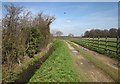 Footpath to Ingmanthorpe Grange