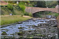 Lynmouth : River Lyn