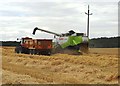 Harvesting north east of Thurnscoe