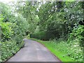 Road above Kinnaird