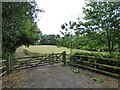 Reigate:  Gateway and paddock off Park Lane