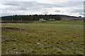 Moorland near Woodside Cottage