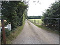 Track to Park Cottage, Roestock