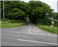 Minor road east towards Hangmans Hall B&B near Pembroke