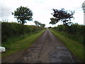 Country road at East Balmirmer