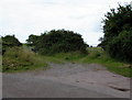 Two field gates, East Trewent