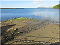 View across Fishguard Harbour