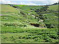 Above the cliffs at Mwnt