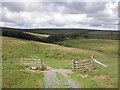 Track to Titchcombe Bungalow