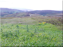 NO6580 : B974 below Cairn O'Mount carpark and viewpoint by Stanley Howe