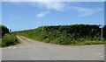 Kernstone Cross south of Stoke, Devon