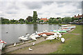 Swans at The Meare, Thorpeness